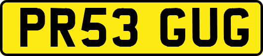 PR53GUG