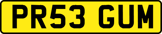 PR53GUM