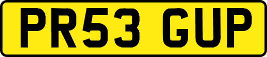 PR53GUP
