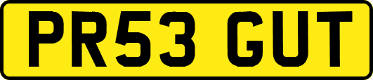 PR53GUT