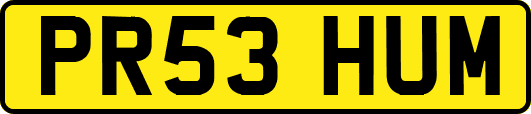 PR53HUM