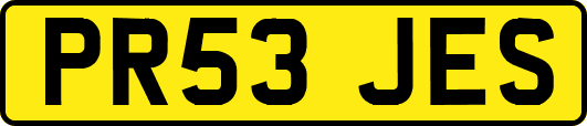 PR53JES