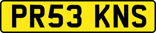 PR53KNS
