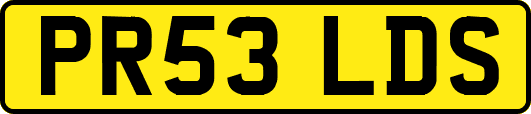 PR53LDS