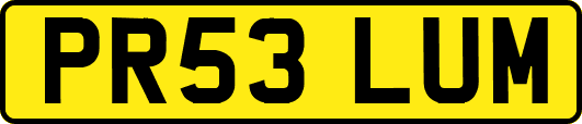 PR53LUM