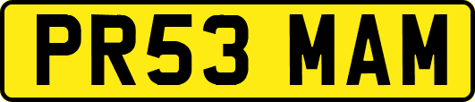 PR53MAM