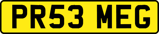 PR53MEG