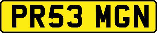 PR53MGN
