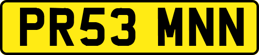 PR53MNN