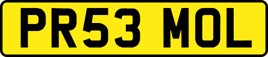 PR53MOL