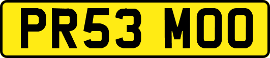 PR53MOO