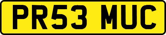 PR53MUC