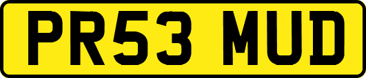 PR53MUD