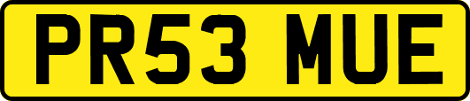 PR53MUE