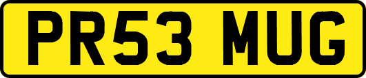 PR53MUG