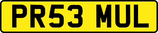 PR53MUL