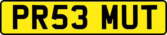 PR53MUT