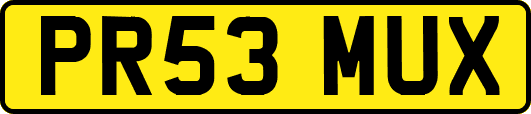 PR53MUX