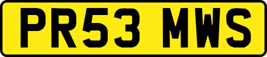 PR53MWS