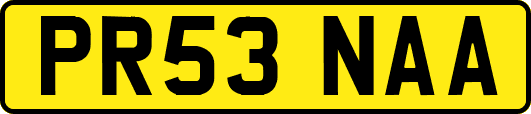 PR53NAA