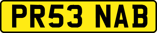 PR53NAB