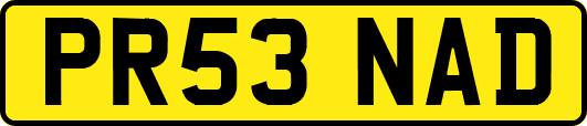PR53NAD