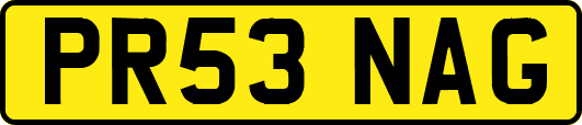 PR53NAG