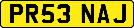 PR53NAJ