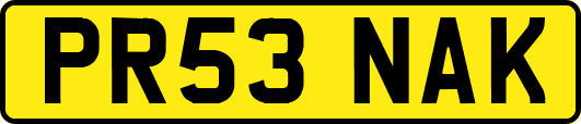 PR53NAK