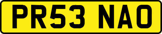 PR53NAO