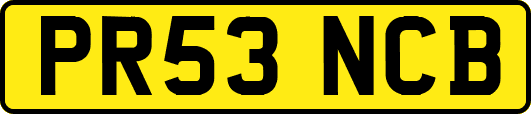 PR53NCB
