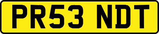 PR53NDT