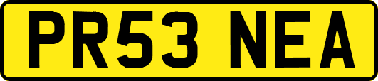 PR53NEA
