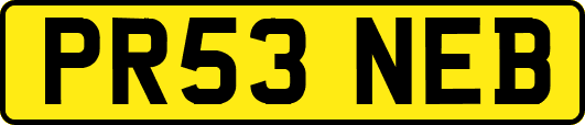 PR53NEB