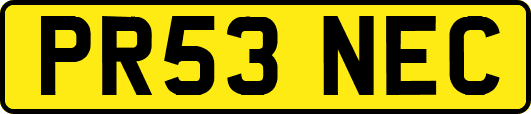 PR53NEC