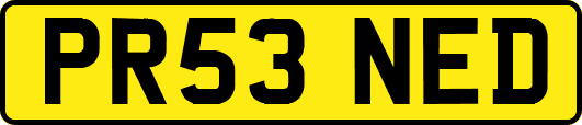 PR53NED