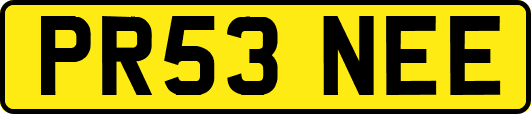 PR53NEE