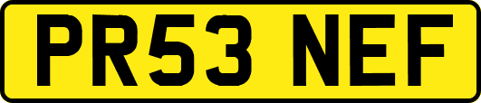 PR53NEF
