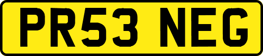 PR53NEG