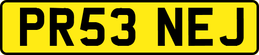 PR53NEJ