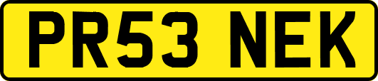 PR53NEK