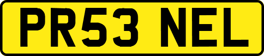 PR53NEL
