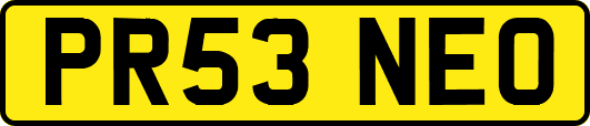 PR53NEO