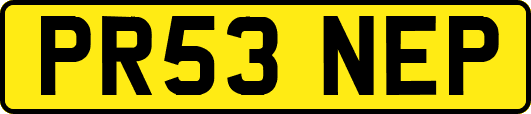 PR53NEP