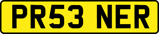 PR53NER