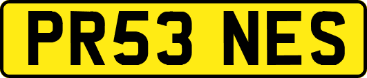 PR53NES
