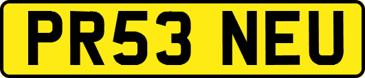 PR53NEU