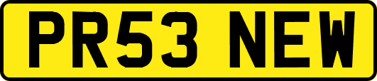 PR53NEW