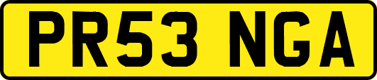 PR53NGA