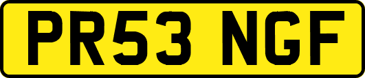 PR53NGF
